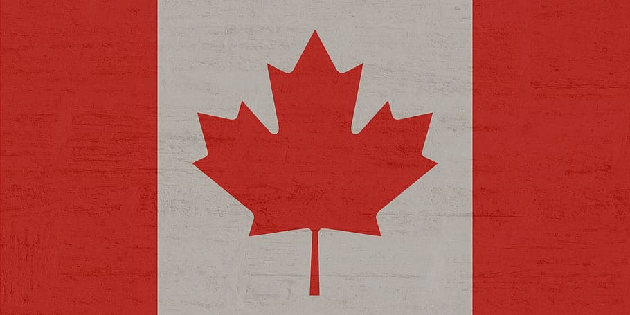 Canada flag illustration, maple, red, white, patriotism, no people HD wallpaper