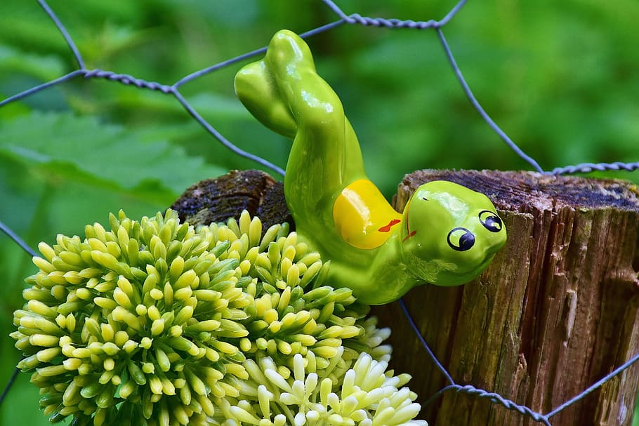 Frog, Pose, Heart, Funny, Animal, figure, cute, forest, fence HD wallpaper