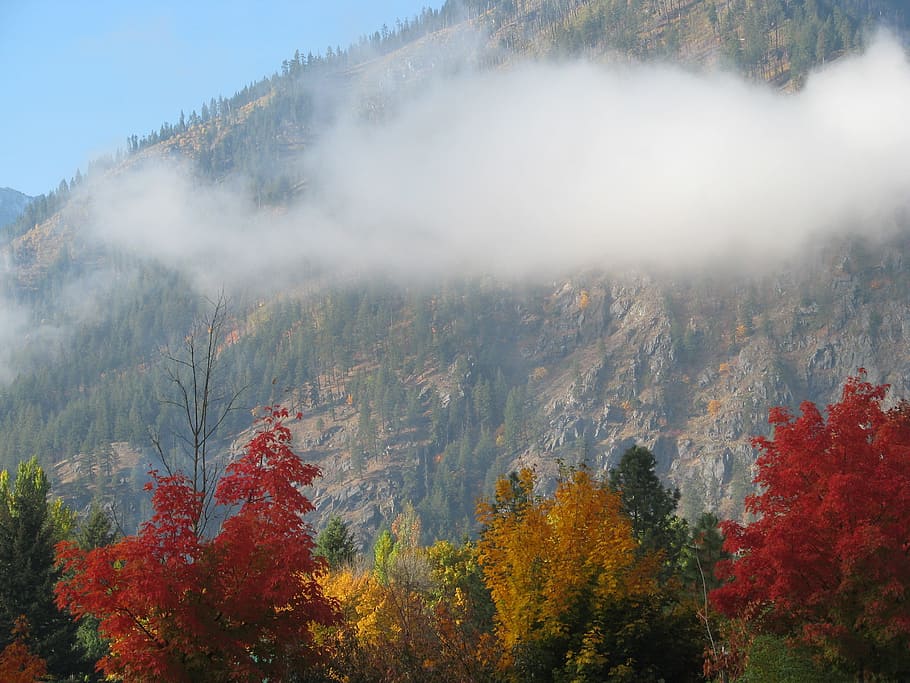mountain, side, trees, autumn, fall, clouds, outdoors, scenic HD wallpaper