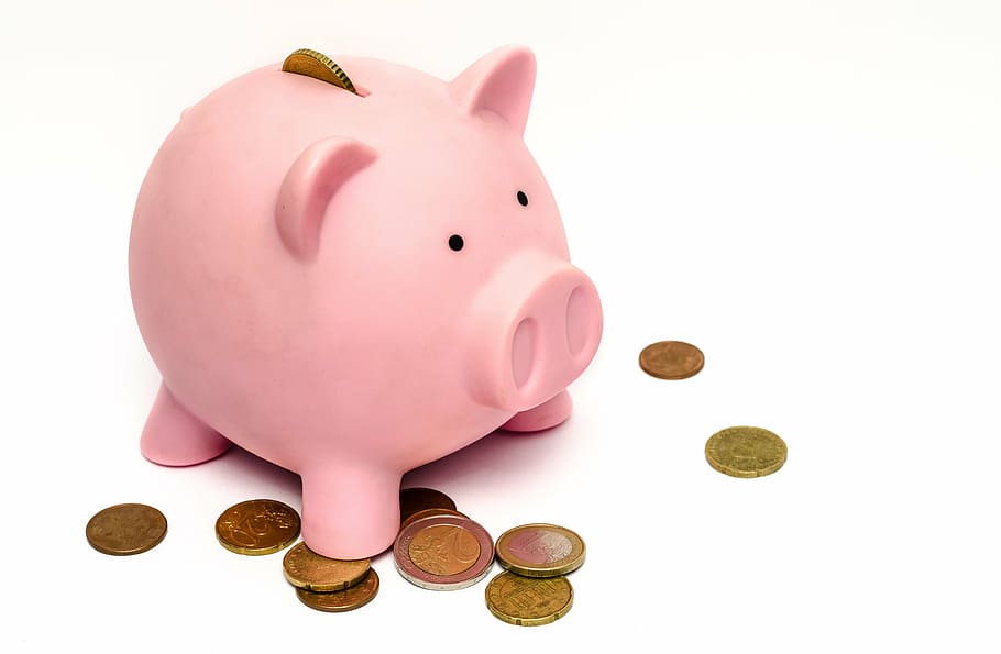 pink piggy bank and gold-colored coins, money, savings, financial, HD wallpaper