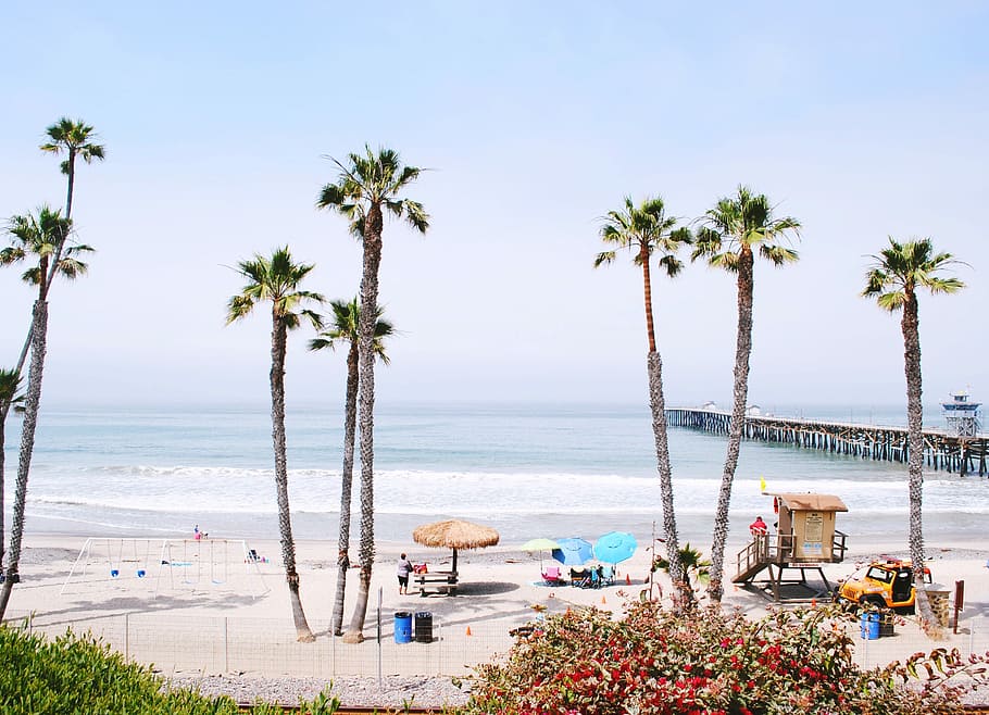 people on beach during daytime, high angle photo of palm trees in front of ocean HD wallpaper