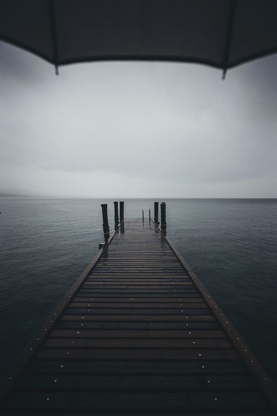 brown wooden dock near body of water at daytime, brown wooden dock HD wallpaper