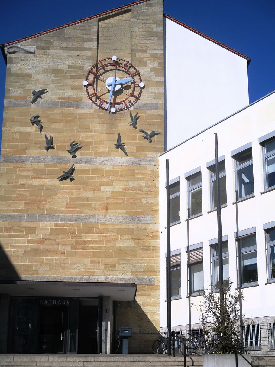 building, town hall, friedrichshafen, clock, facade, gulls, HD wallpaper