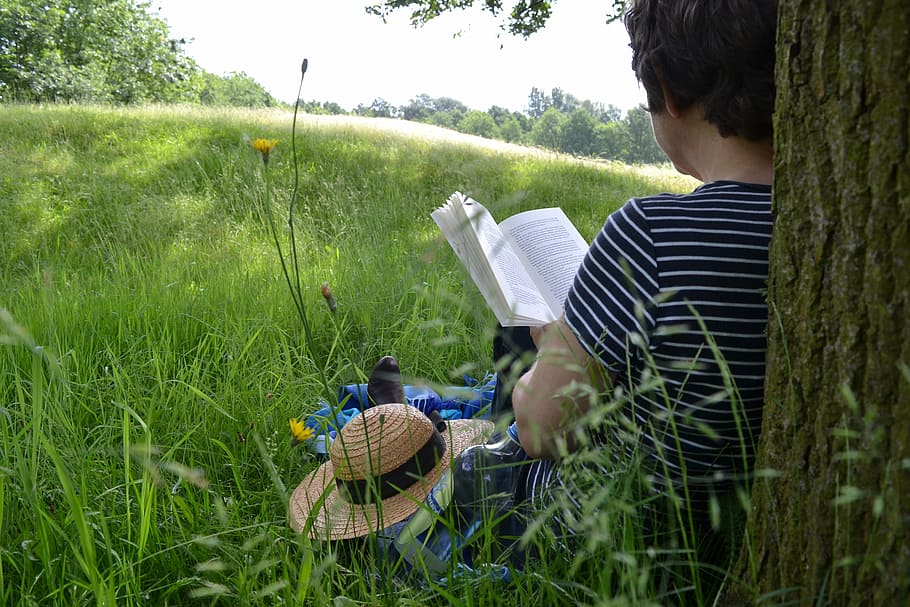 person reading book under tree, book reading, literature, summer HD wallpaper