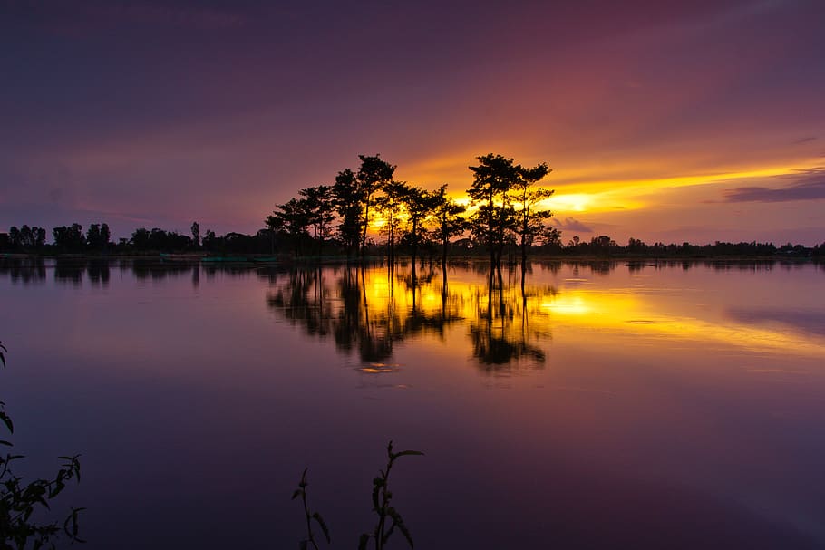 water, reflection, dawn, dusk, sky, tree, scenics - nature HD wallpaper