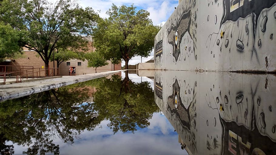 reflection, tree, water, outdoor, environment, plant, architecture HD wallpaper