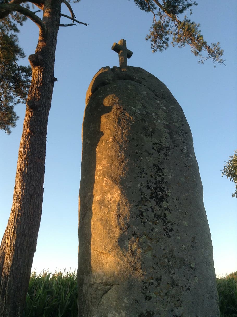 menhir, brittany, celtic, tree, plant, sky, tree trunk, low angle view HD wallpaper