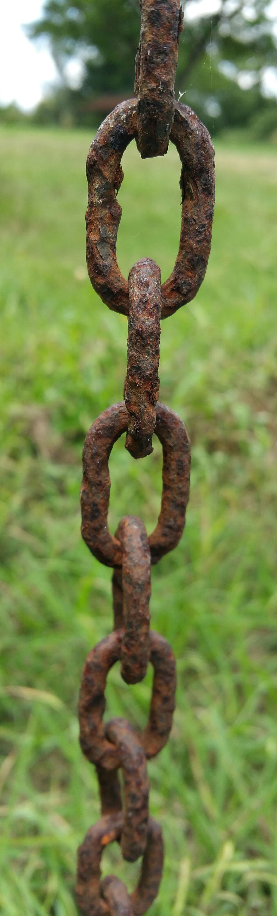 rusty chain, metal, focus on foreground, close-up, no people HD wallpaper