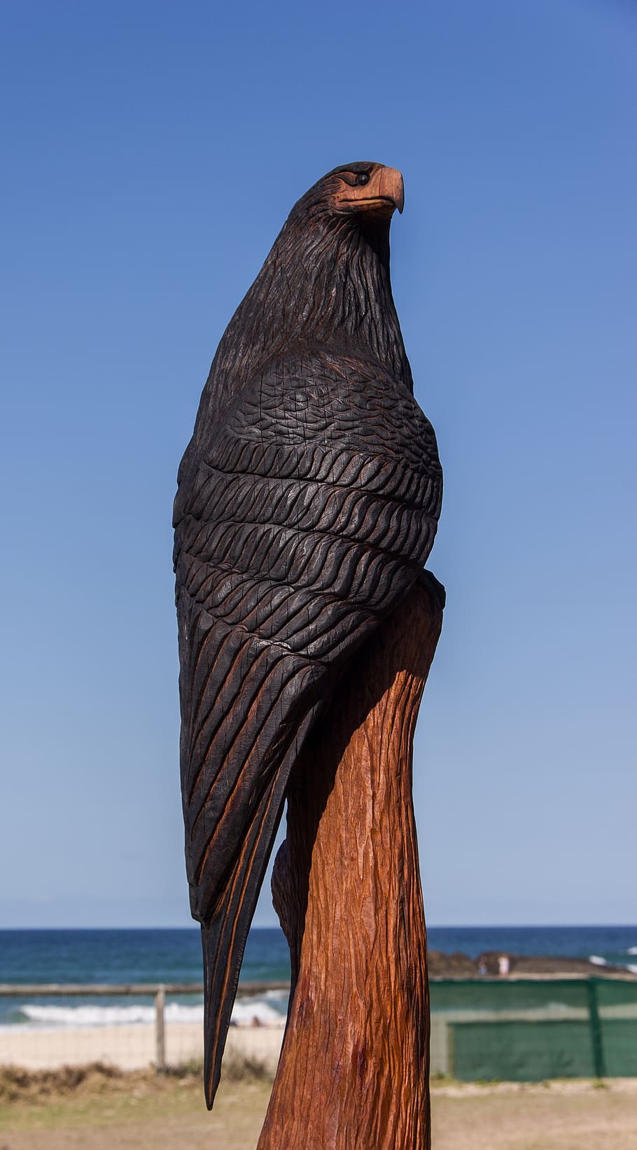 bird, raptor, carving, wood, chainsaw, sculpture, black, art, HD wallpaper