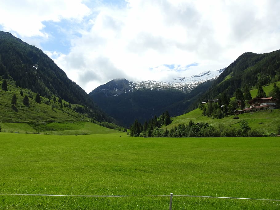 austria, mountains, meadow, forest, nature, landscape, salzburg HD wallpaper