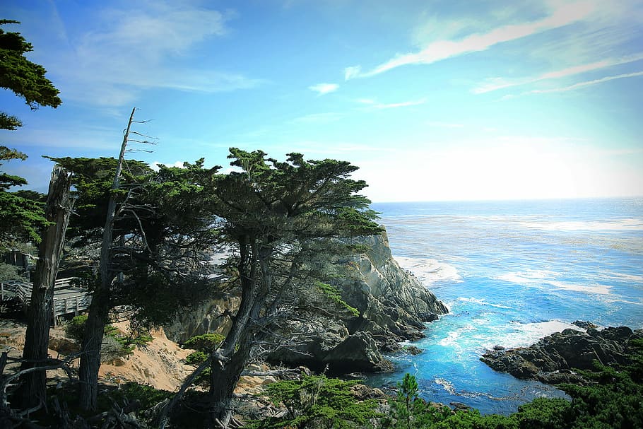 green leafed trees in front of body of water, rock mountain near body of water HD wallpaper