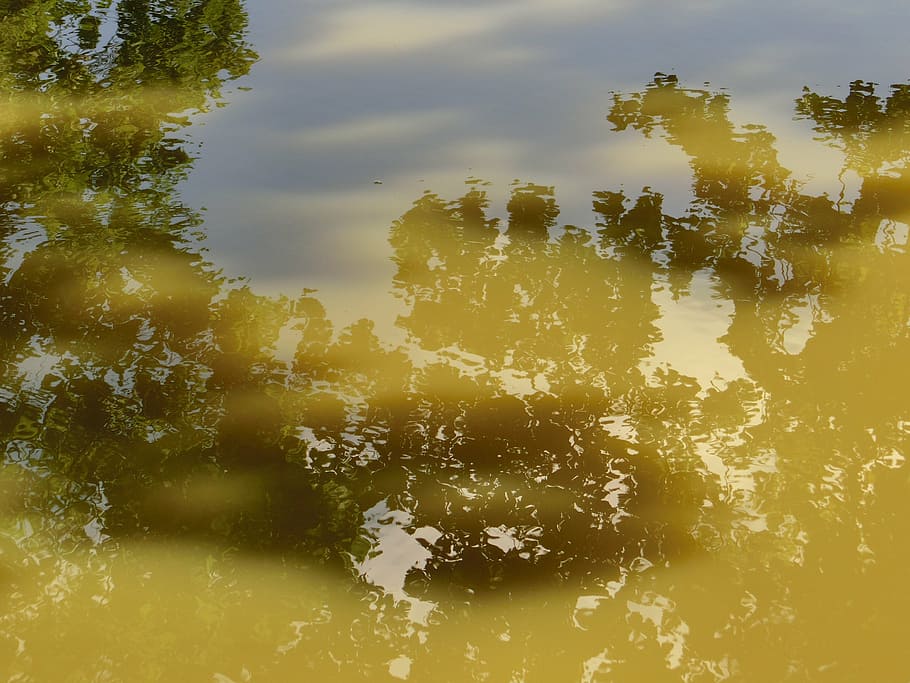 water, mirroring, clouds, reflections, water surface, river HD wallpaper