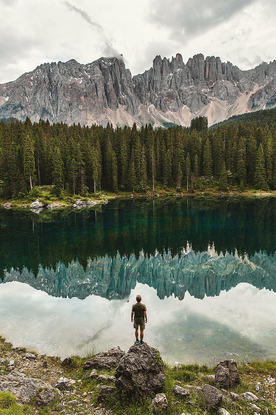 man standing on boulder facing lake and pine trees at daytime HD wallpaper