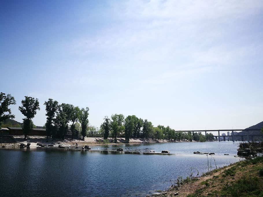 sky, river, the scenery, water, tree, plant, architecture, nature HD wallpaper