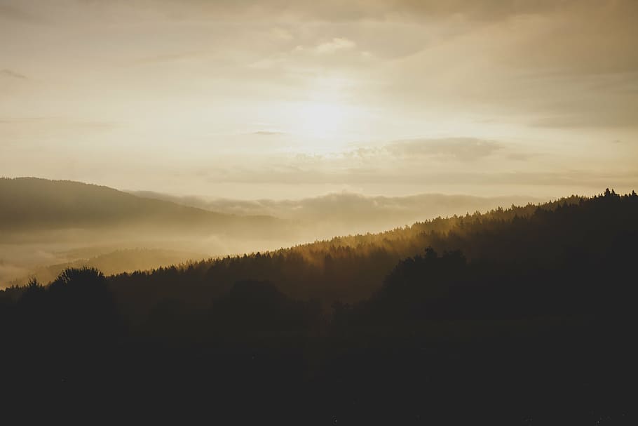 landscape photography of brown mountain, light, tall, trees HD wallpaper