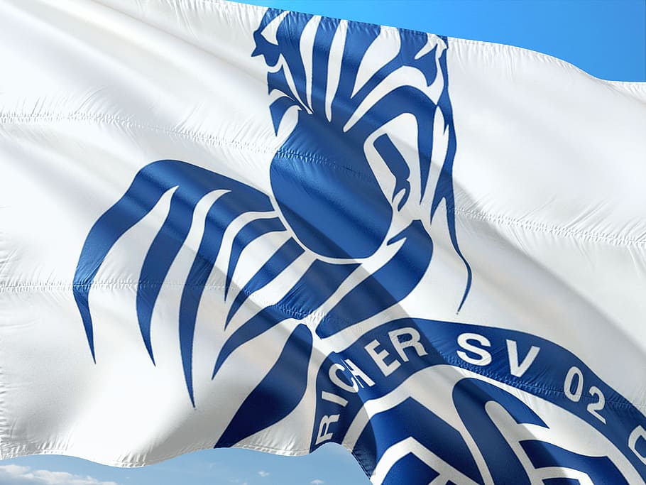 flag, logo, football, 2, bundesliga, msv duisburg, zebras, blue, HD wallpaper