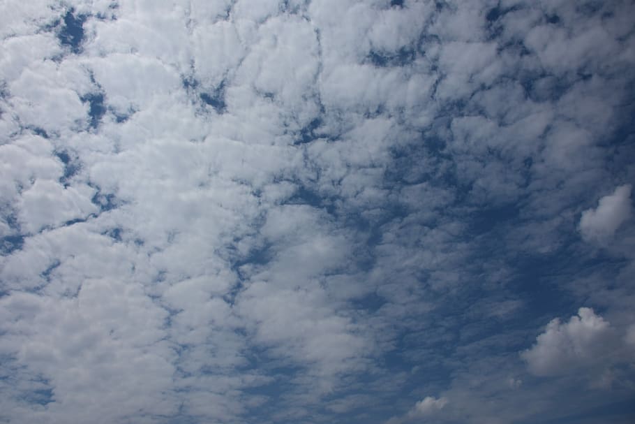 Sky, Clouds, White, Light, Cloudy, blue, weather, sunlight HD wallpaper