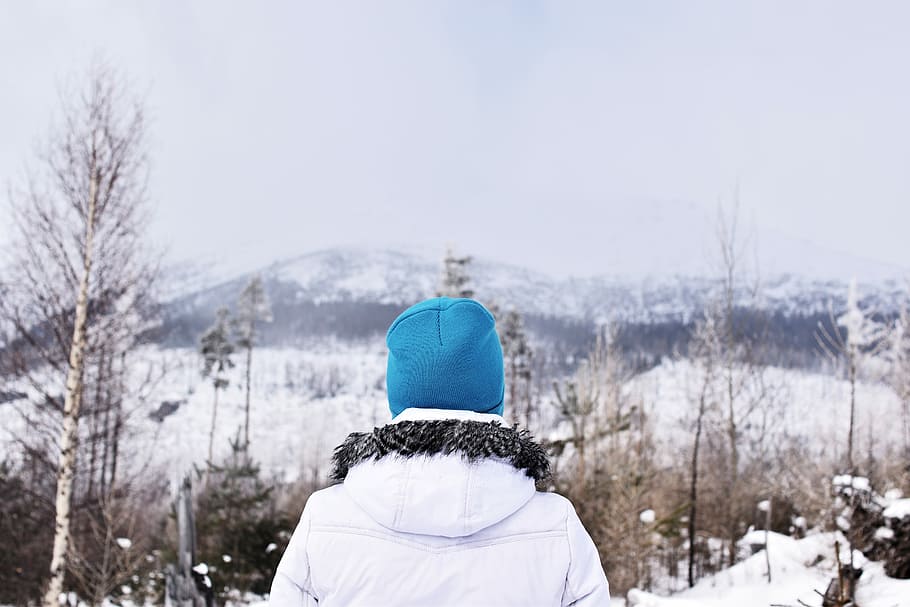 Nature addict, person standing near withered tree covered by snow HD wallpaper