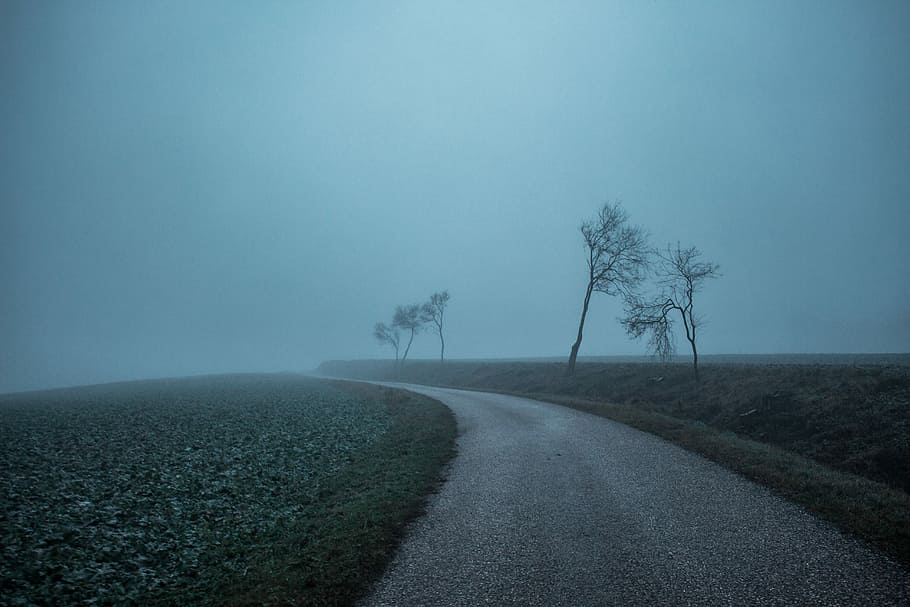 brown asphalt road surrounded green grass field under gray sky, pathway in middle of grass field with mist HD wallpaper