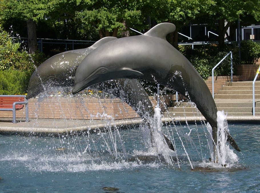 Dolphin fountain 1080P, 2K, 4K, 5K HD wallpapers free download ...