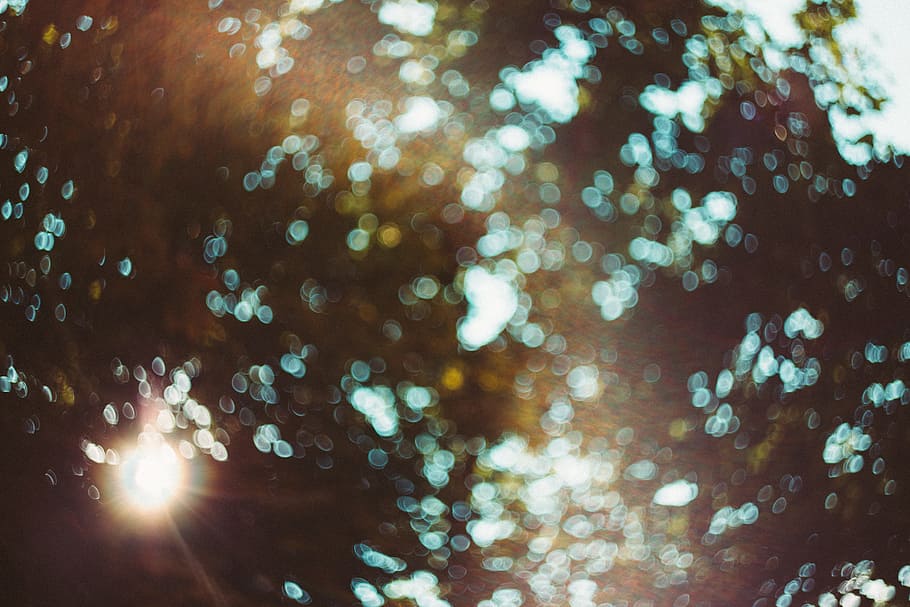 sunlight passing through leaves, nature, abstract, background HD wallpaper