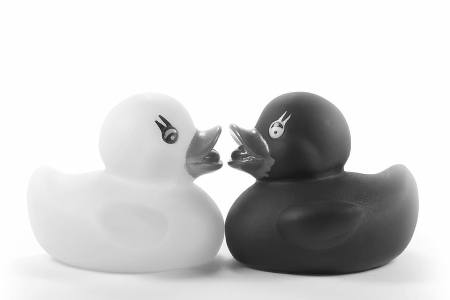 ducks, rubber ducks, toys, romantic, romance, kiss, before, HD wallpaper