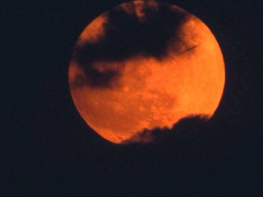 photo of full moon, Clouds, Veil, Night, clouds veil, astronomy HD wallpaper