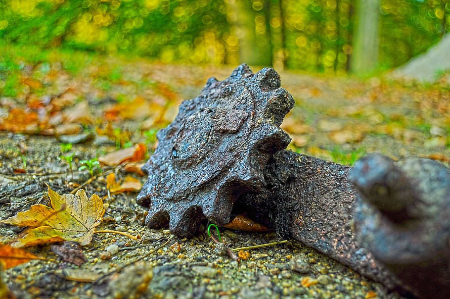 hdr, gear, tool, component, foliage, forest, trees, colors HD wallpaper