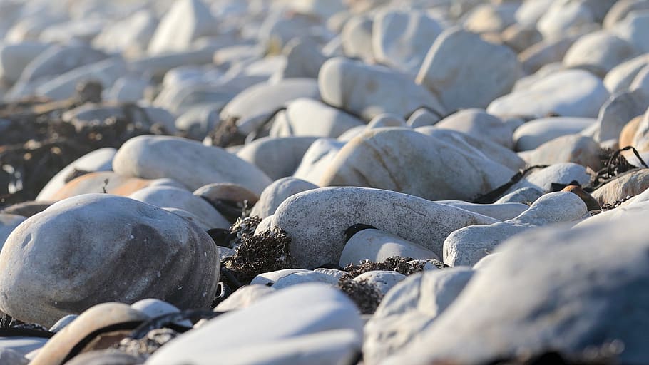 Rocks, Round, White, Coast, Nature, outdoor, south africa, cold temperature HD wallpaper