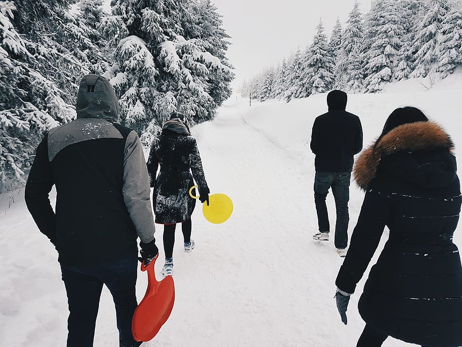 Four People Crossing the Road during Winter Season, cold, daylight HD wallpaper