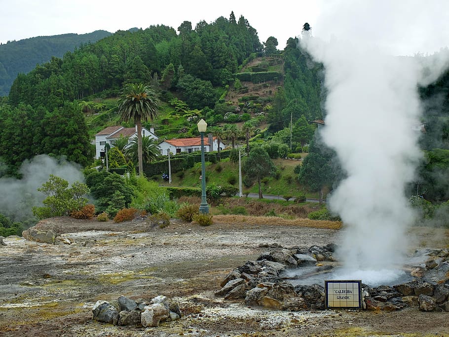 azores, furnas, thermal area, ponta delgada, tree, plant, architecture, HD wallpaper