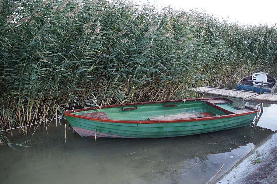 Rowboat, Barge, Reed, Punts, nautical vessel, water, transportation HD wallpaper