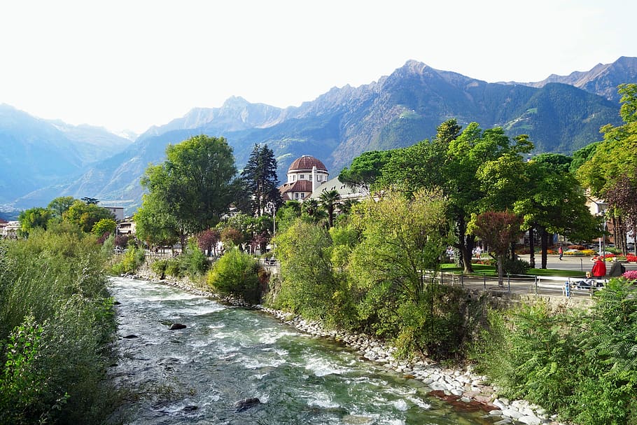 meran, south tyrol, italy, nature, mountain, waters, tree, plant