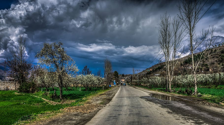 clouds, cloudy, grass, road, rural, sky, tree, direction, cloud - sky HD wallpaper
