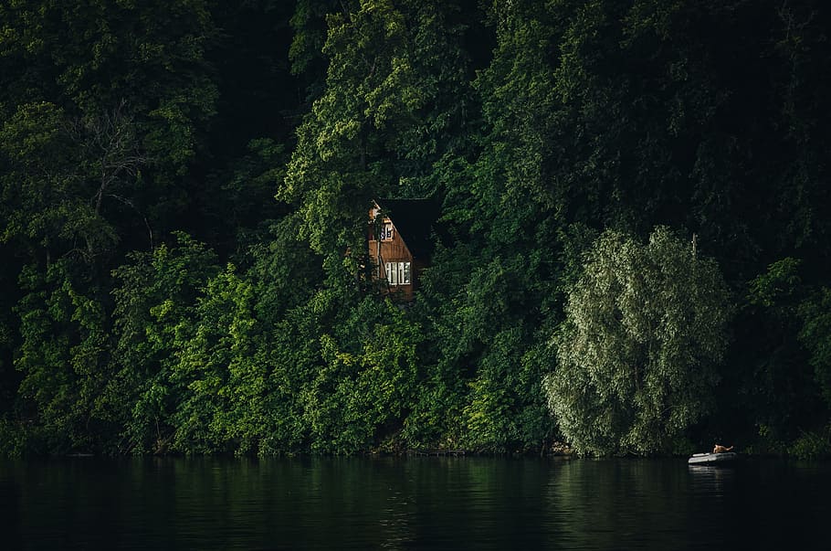 brown and white house surrounded by plants and trees, landscape photography of mountain with house beside HD wallpaper