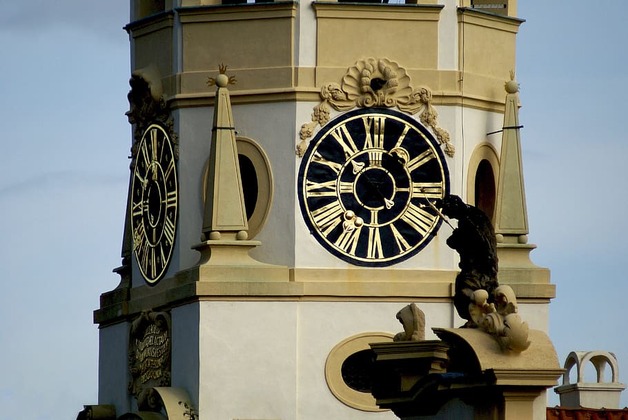 clock, the town hall, architecture, monument, city, history HD wallpaper