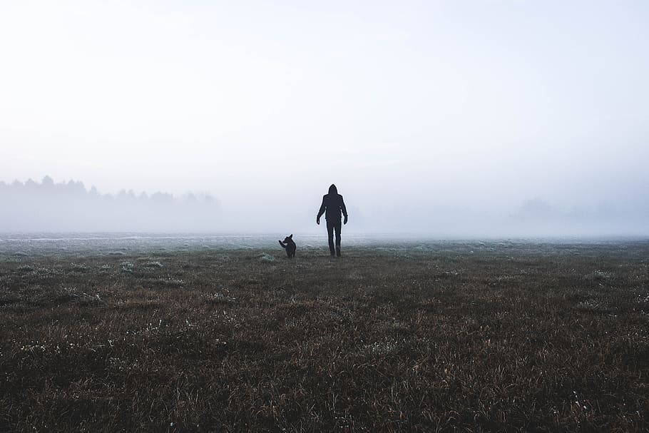 fog, cold, weather, tree, plant, field, outdoor, grass, people HD wallpaper