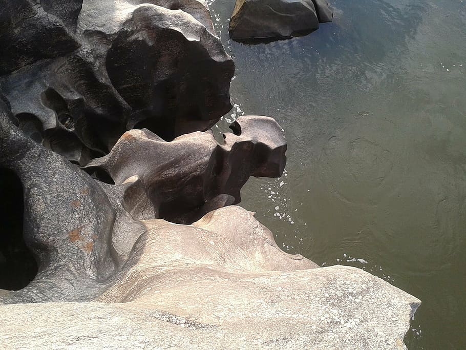 riverbed, rocks, water, animal, animal themes, solid, rock - object HD wallpaper