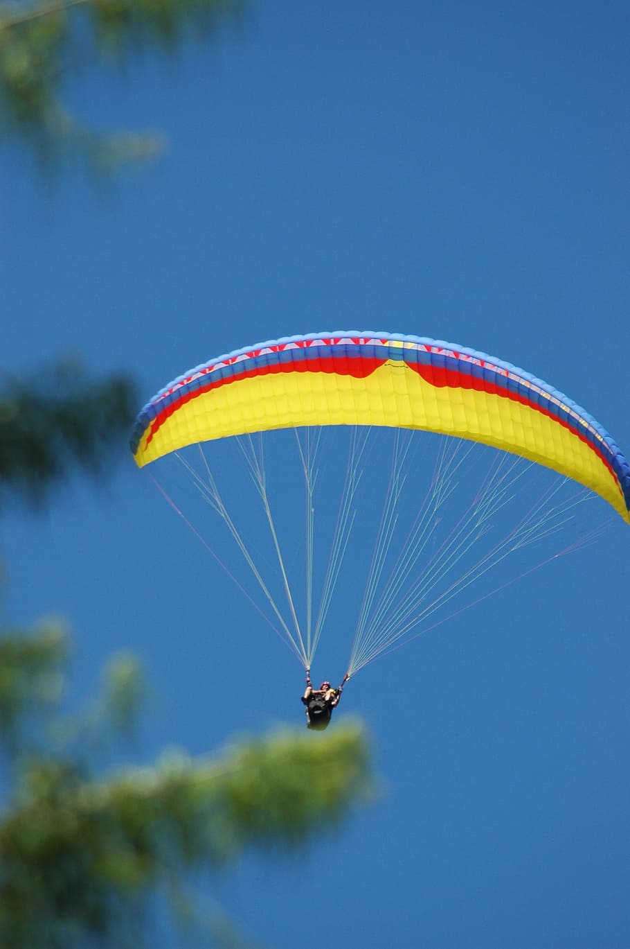paragliding, sky, blue, parachute, extreme sports, adventure HD wallpaper