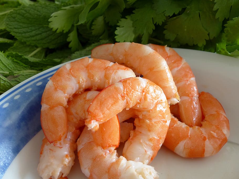 shrimp, kitchen, food, food and drink, freshness, seafood, close-up HD wallpaper
