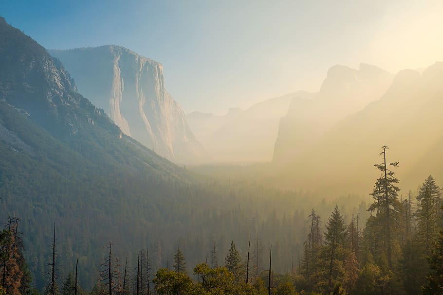 palm tree near mountain range under golden hour, mountain range surrounded by trees HD wallpaper