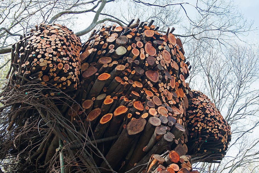 sculpture, art, branches, cut ends, arranged, shaped, design HD wallpaper