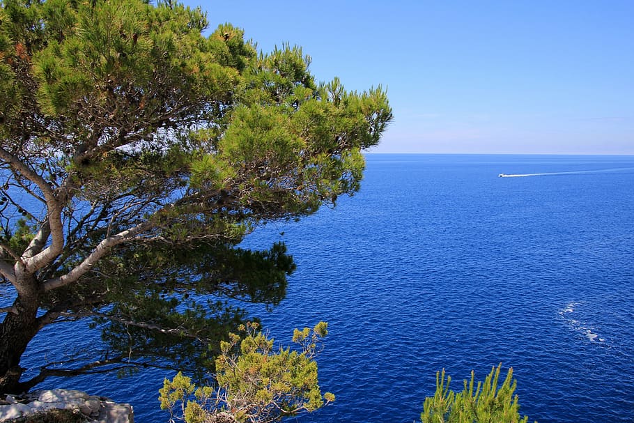 wallpaper, sea, blue, vegetation, blue sea, water, scenics HD wallpaper