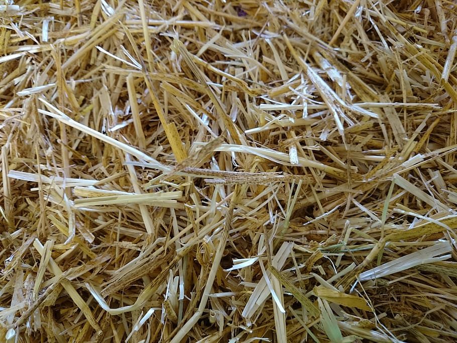 straw, hay, haystack, backgrounds, brown, close-up, full frame HD wallpaper