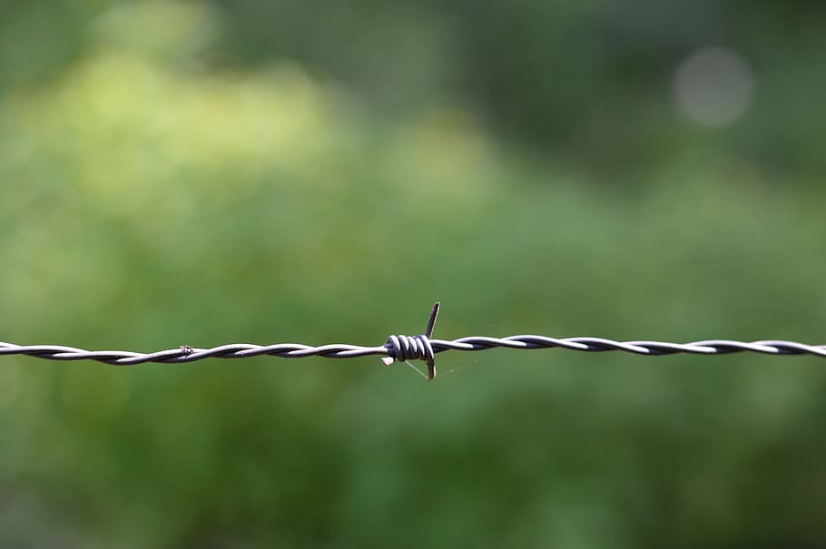 steel, wire, barbed wire, security, barrier, danger, protection, HD wallpaper