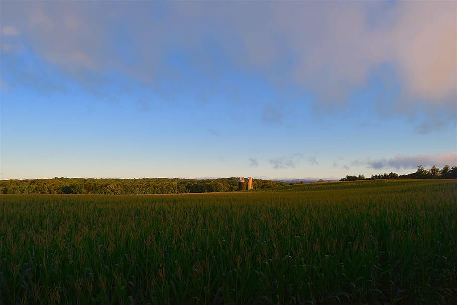 corn field, sunrise, green, clouds, farm, landscape, sky, silos HD wallpaper