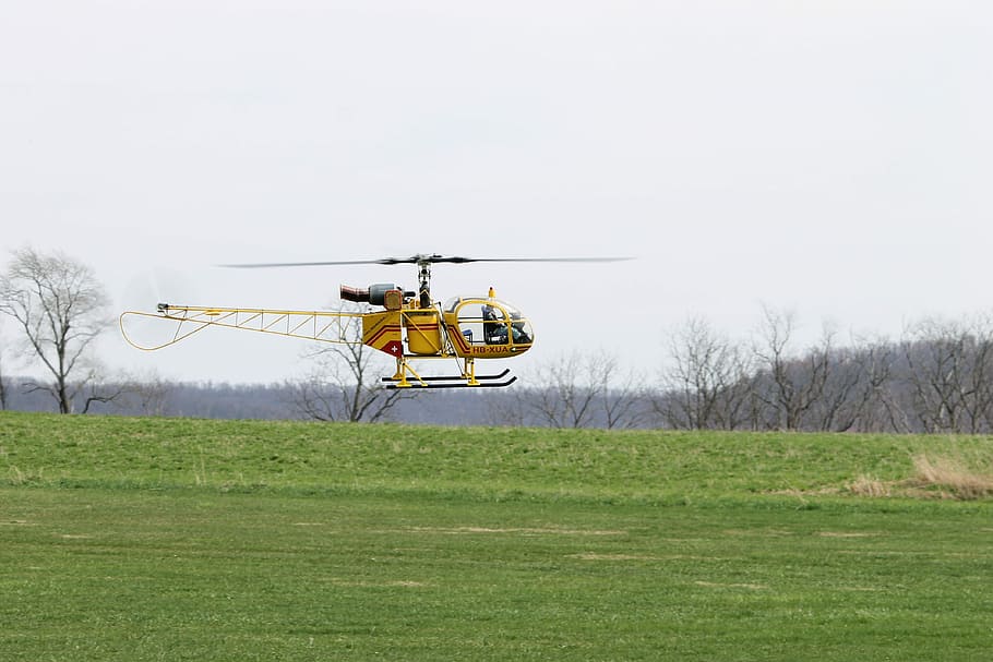 Rc, Model, Model Helicopter, control, remote, leisure, toy HD wallpaper