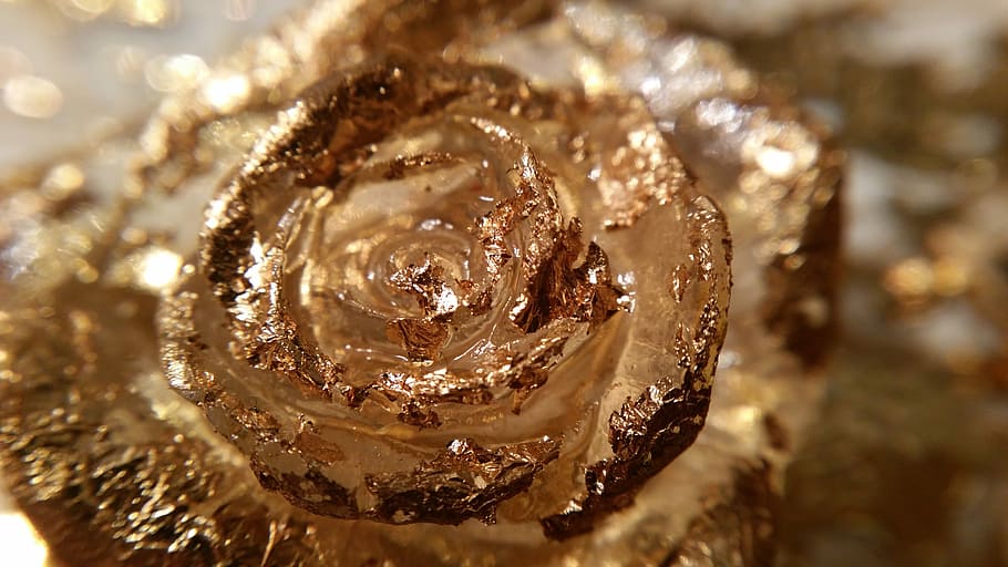 Gold, Macro, Close, Christmas, rose, golden, luxury, gold colored HD wallpaper