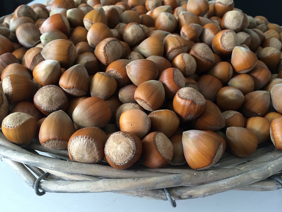 hazelnuts, basket, food, eat, fruit pod, nut - Food, brown HD wallpaper
