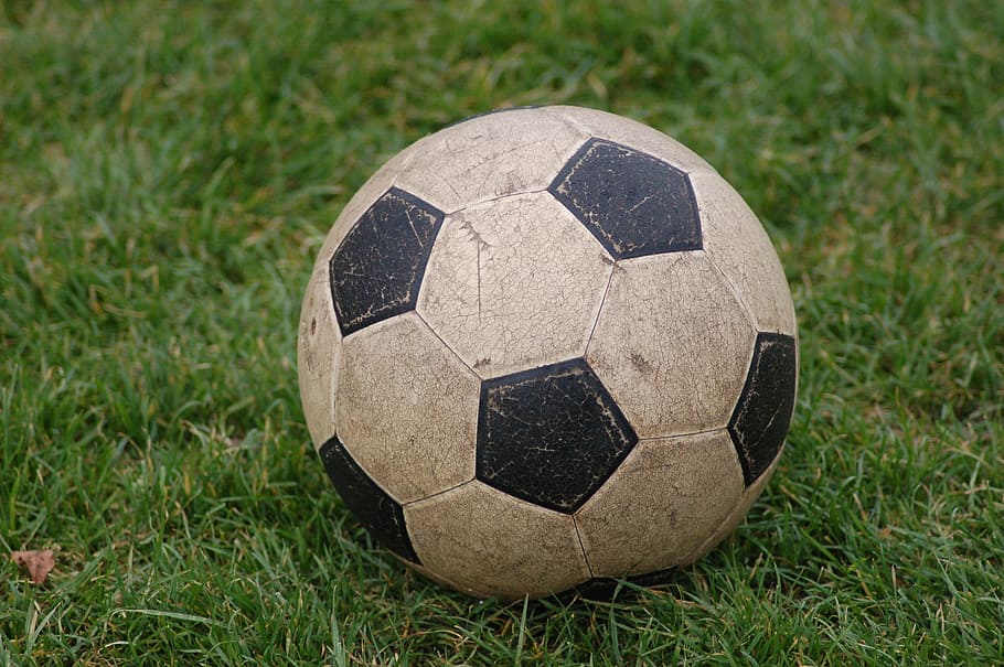ball, grass, black white, team sport, soccer ball, no people HD wallpaper